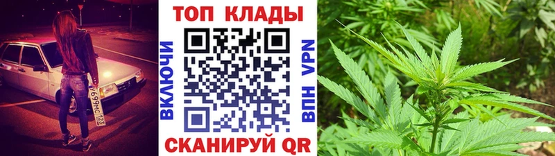 Галлюциногенные грибы Монино